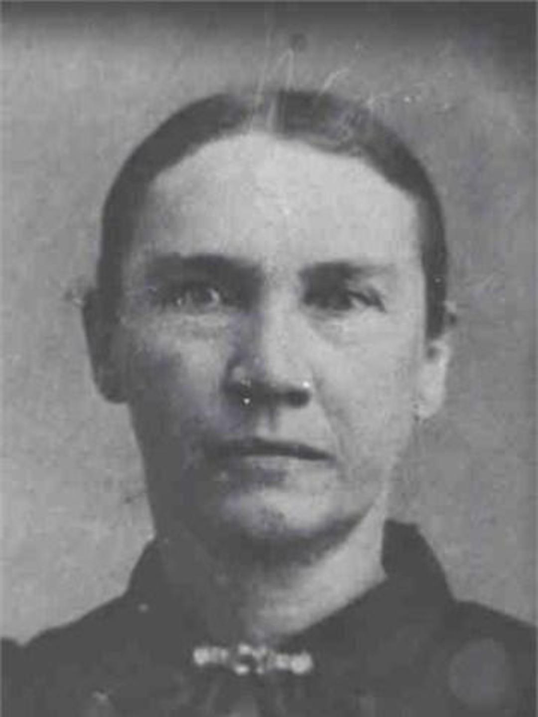 Agnes Lane Pearce (1844 - 1920) Profile